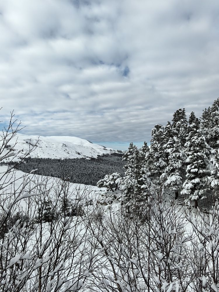 Photograph by Елизавета Зыкова