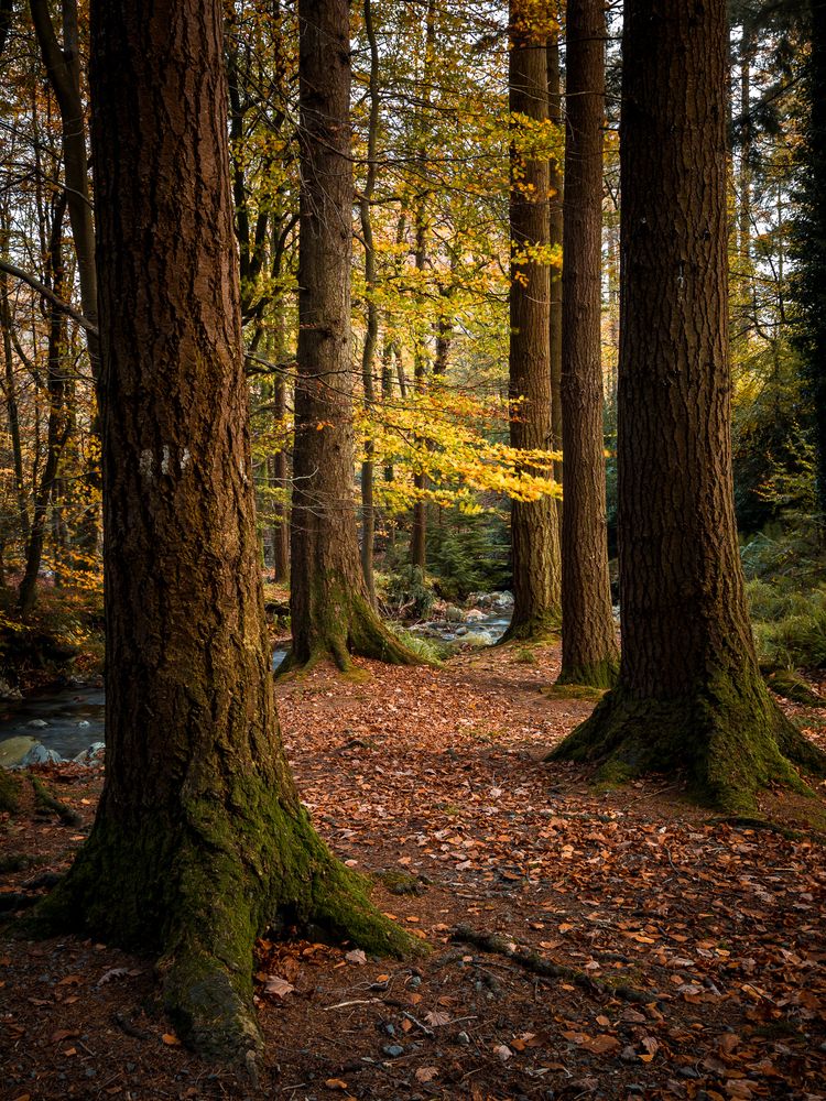 Photograph by Anatoly Chomko