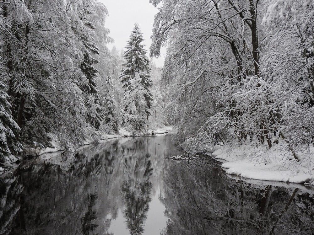 Фотография автора Юлия Овчинникова