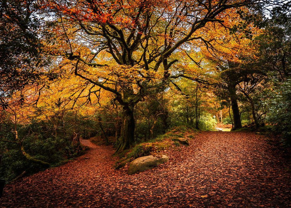 Photograph by Anatoly Chomko