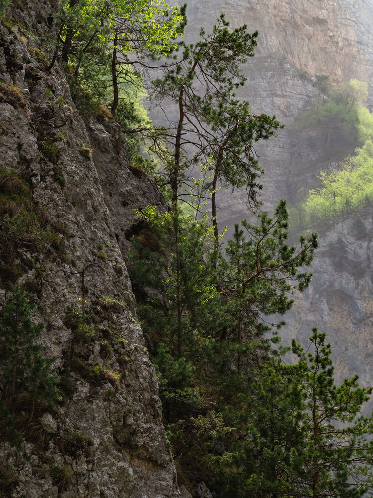 Фотография автора Татаринов Валерий