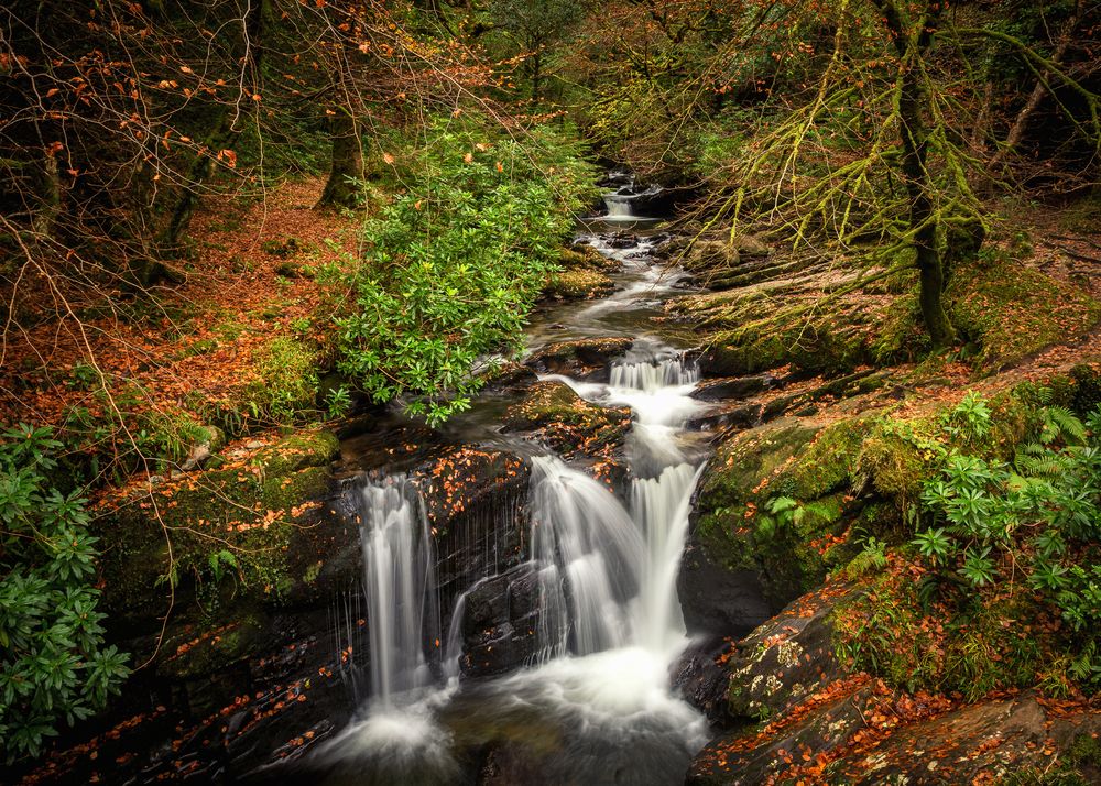 Photograph by Anatoly Chomko