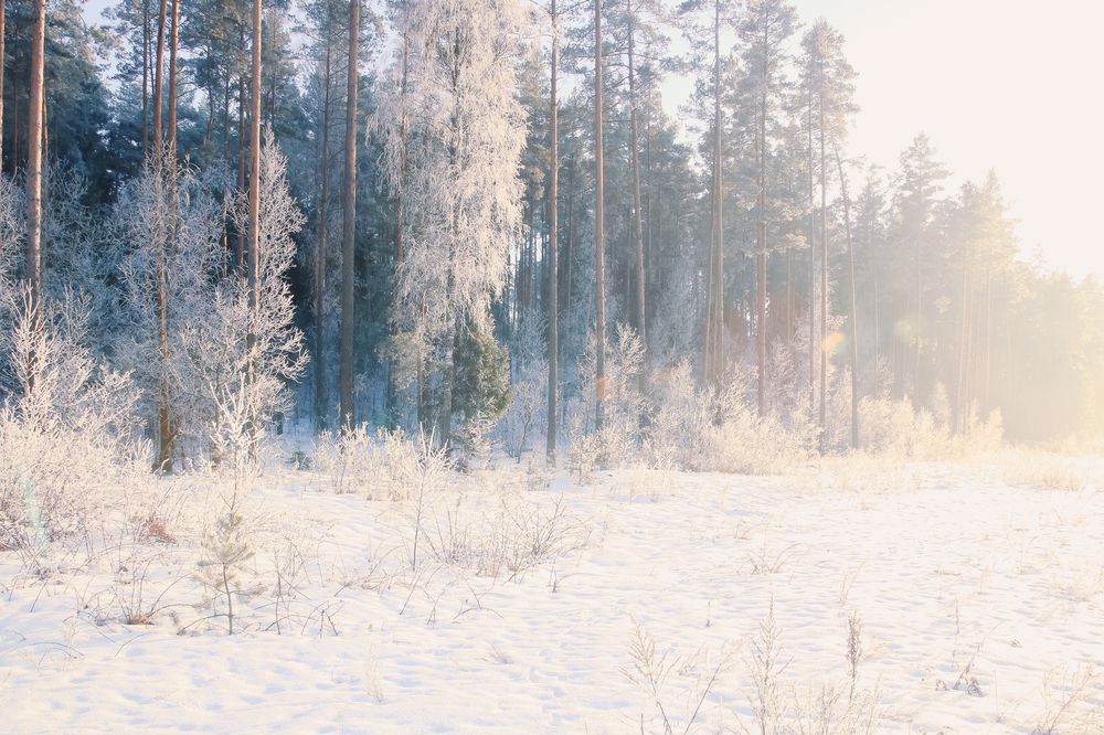Фотография автора Наталья Бабицкая