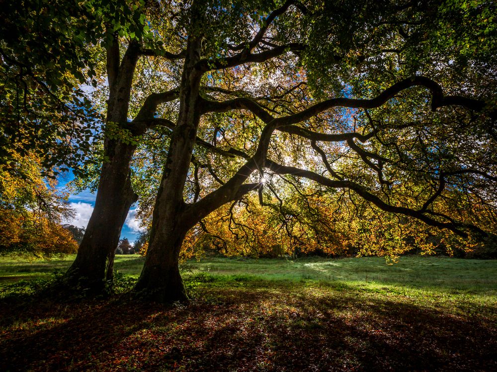 Photograph by Anatoly Chomko