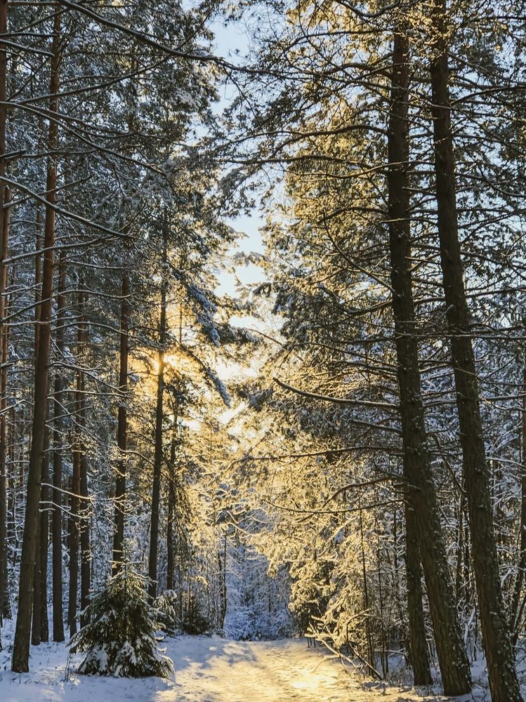 Photograph by Светлана Долганова