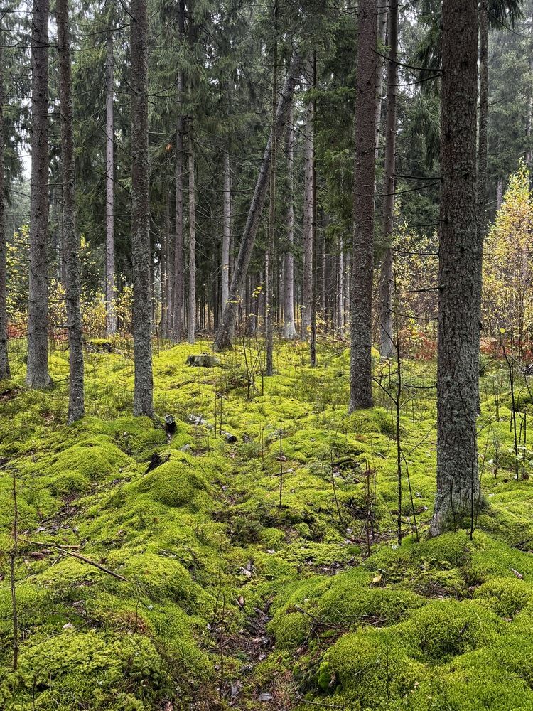 Photograph by Сергей Аверченко