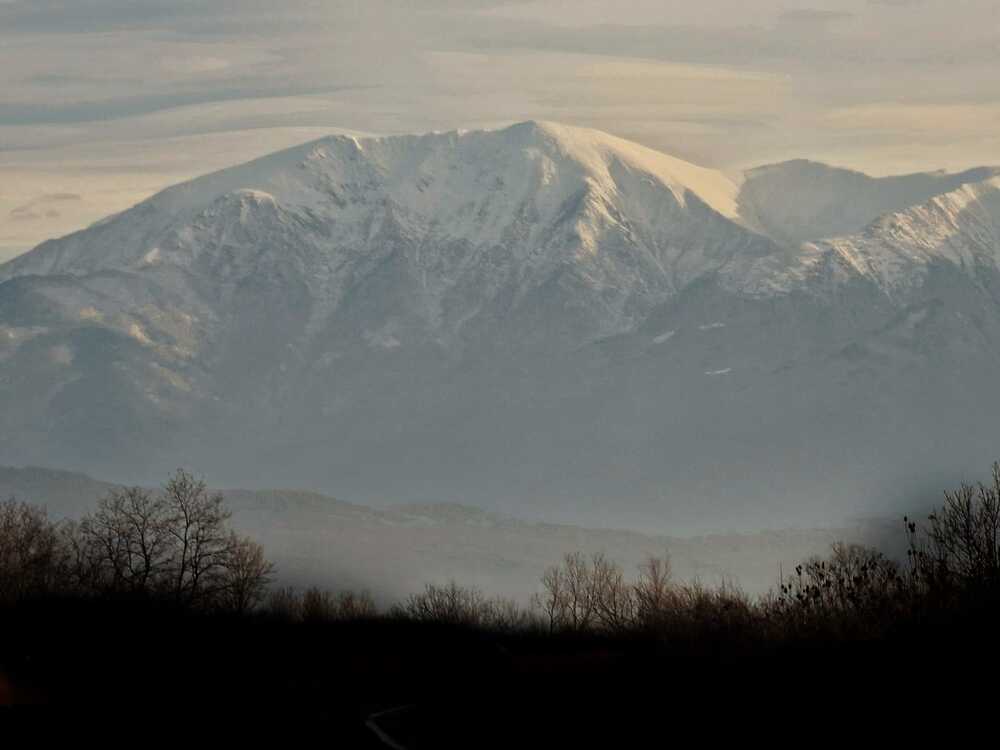 Photograph by Cosmin Coltan