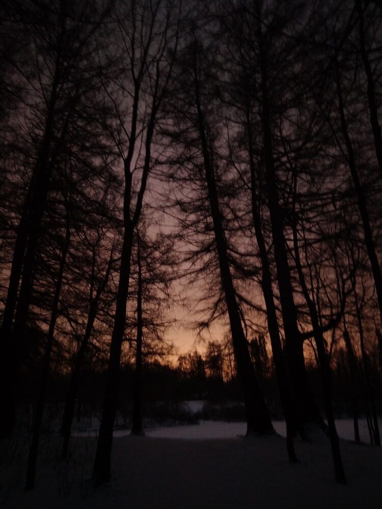 Photograph by Денис Терехин