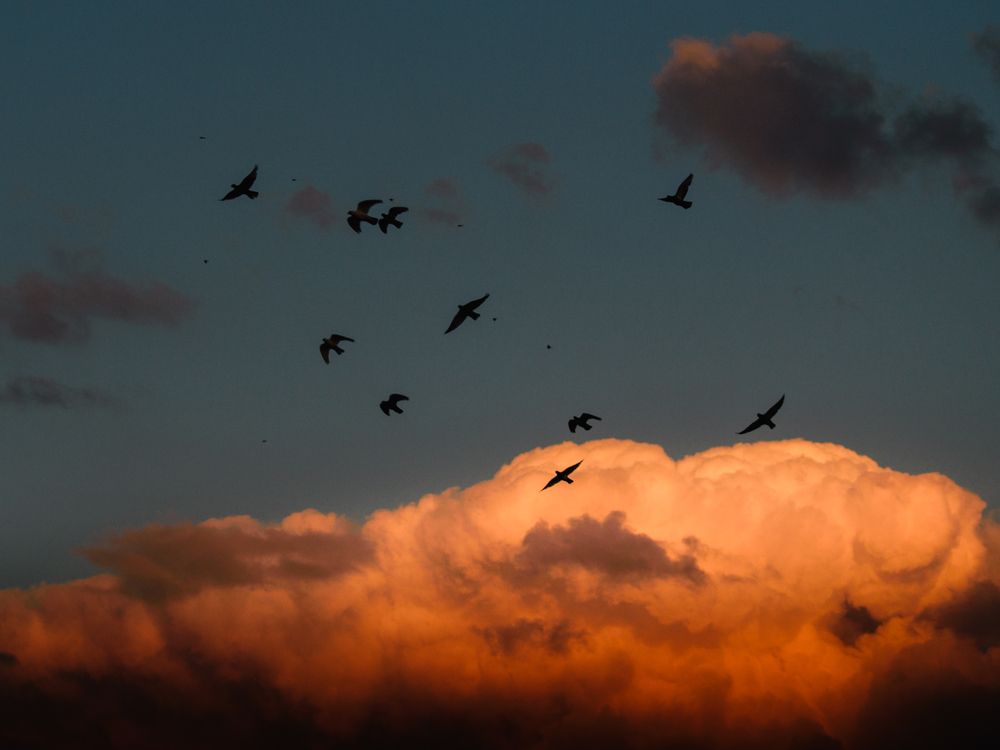 Photograph by NADER AYMAN