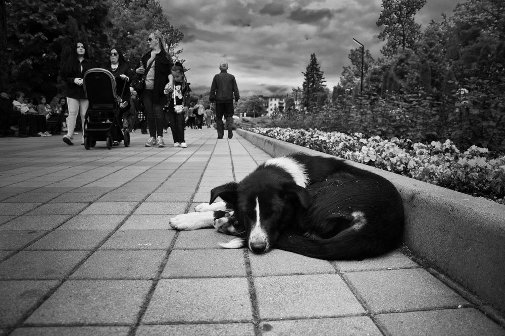 Photograph by  Владимир