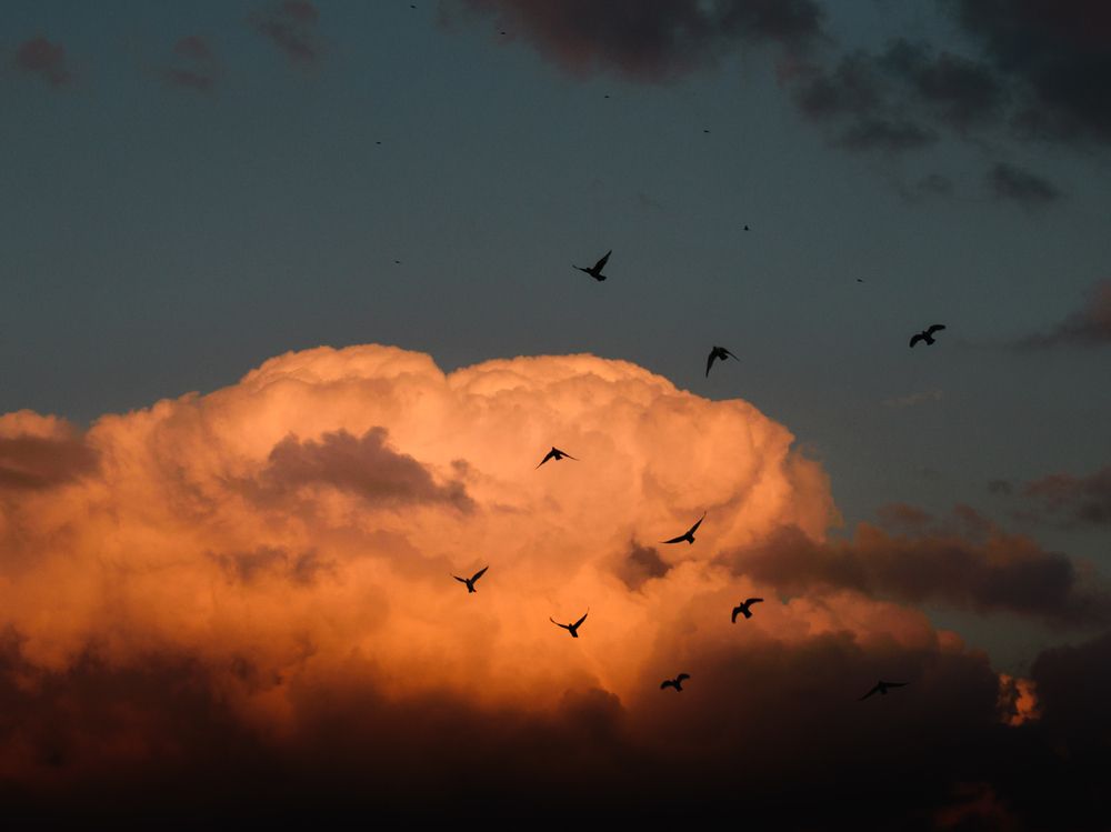 Photograph by NADER AYMAN