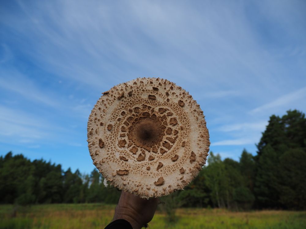 Фотография автора Татаринов Валерий