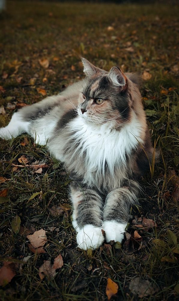 Photograph by Helen Ka