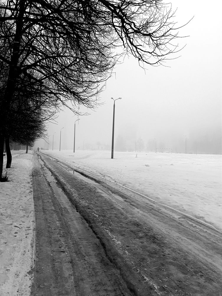 Photograph by Светлана Таркан