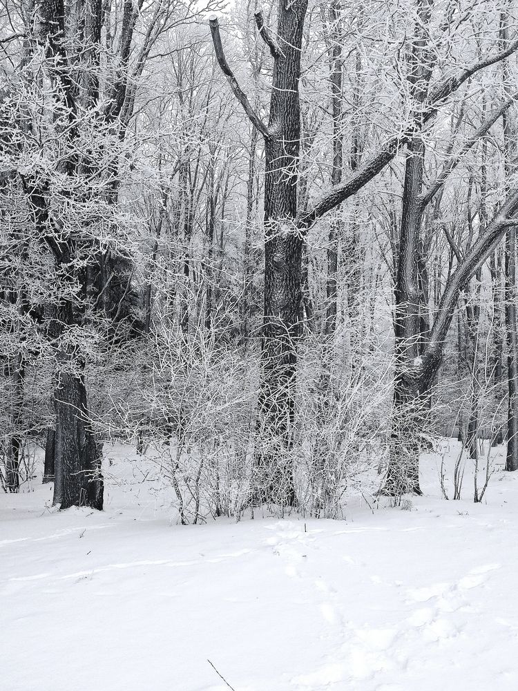 Photograph by Светлана Таркан