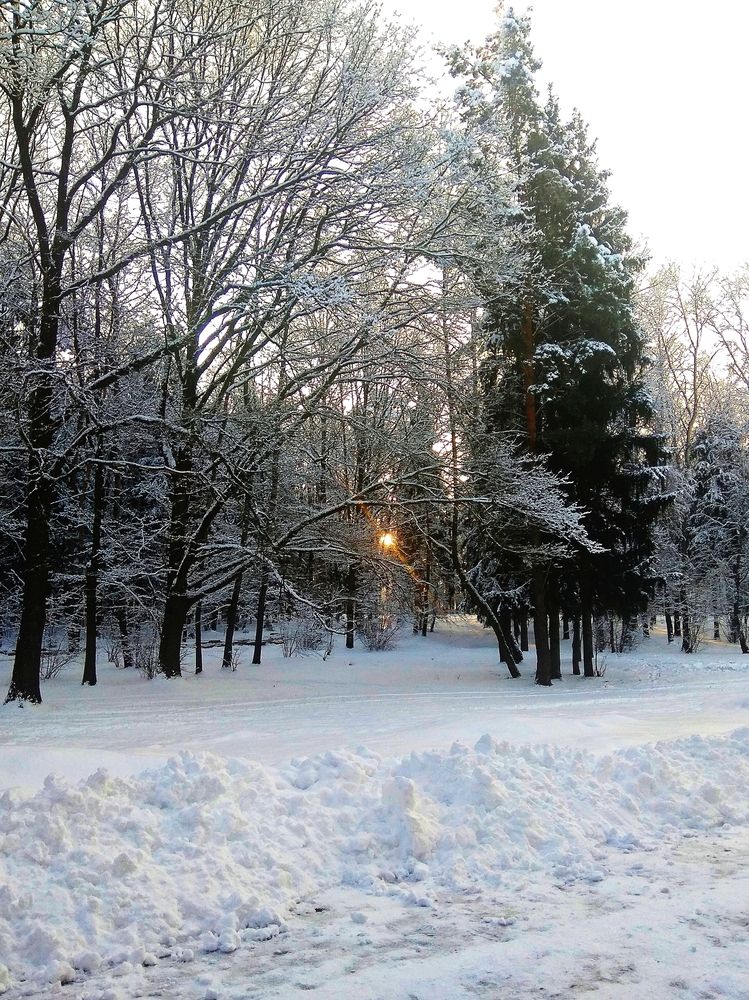 Photograph by Светлана Таркан