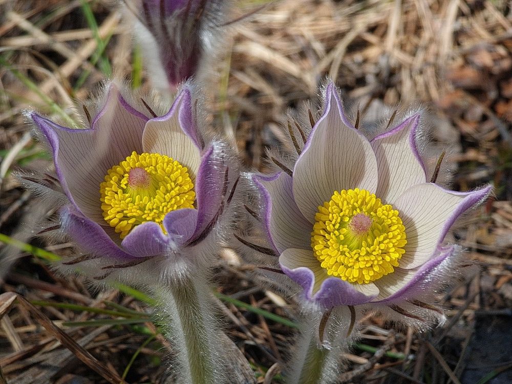 Photograph by Вадим Богатиков