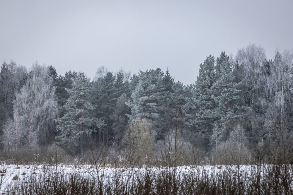Photograph by Хабаров Сергей
