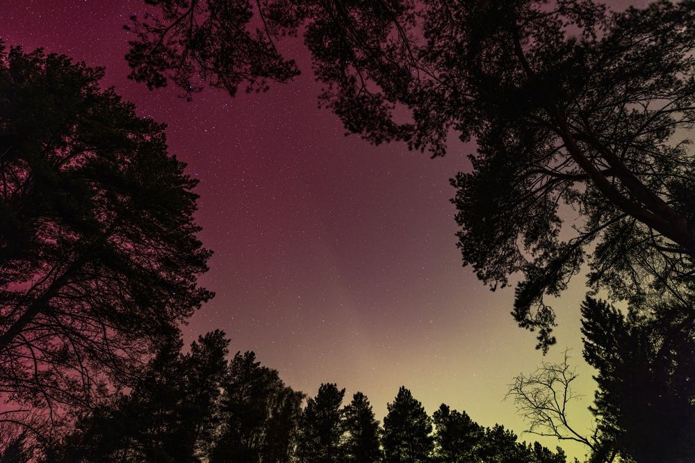 Photograph by Хабаров Сергей