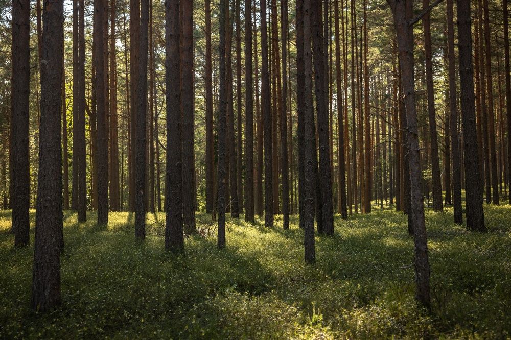 Photograph by Хабаров Сергей