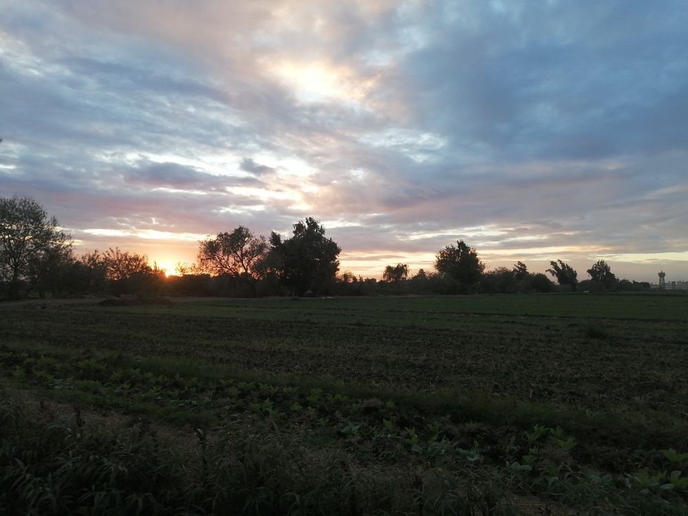 Photograph by Rehab Mohamed Ibrahim