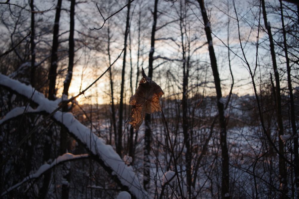 Photograph by Олег Черноокий