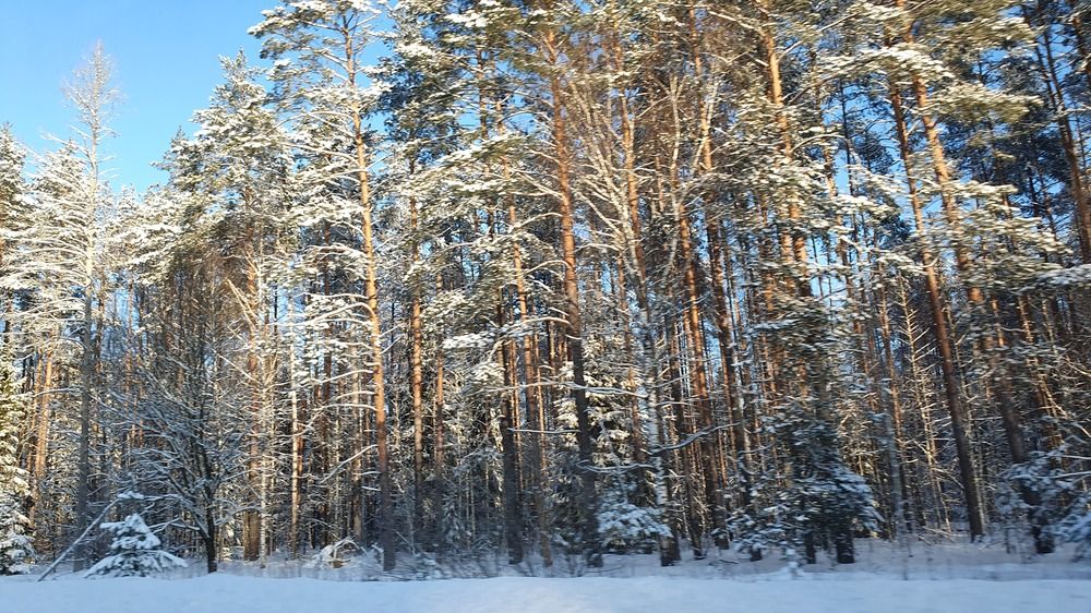 Photograph by Анастасия