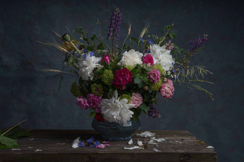 Фотография автора Могилевцева Дарья