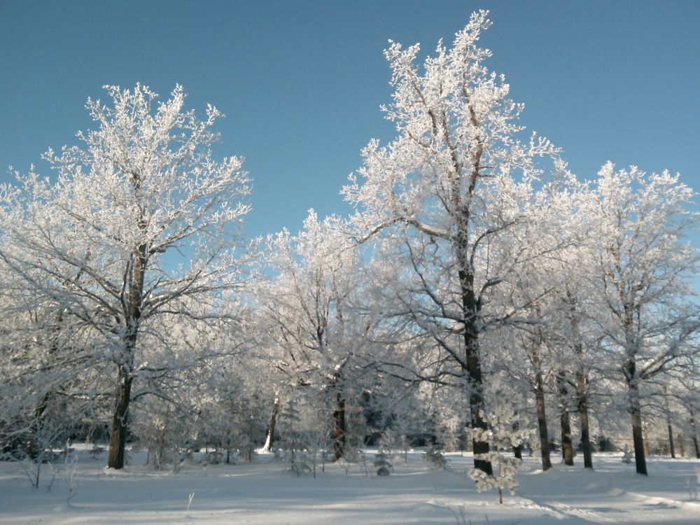 Photograph by Александр Кизим