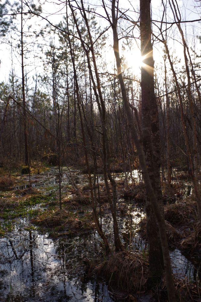 Photograph by Олег Черноокий