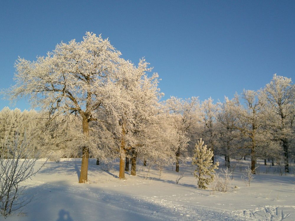 Photograph by Александр Кизим