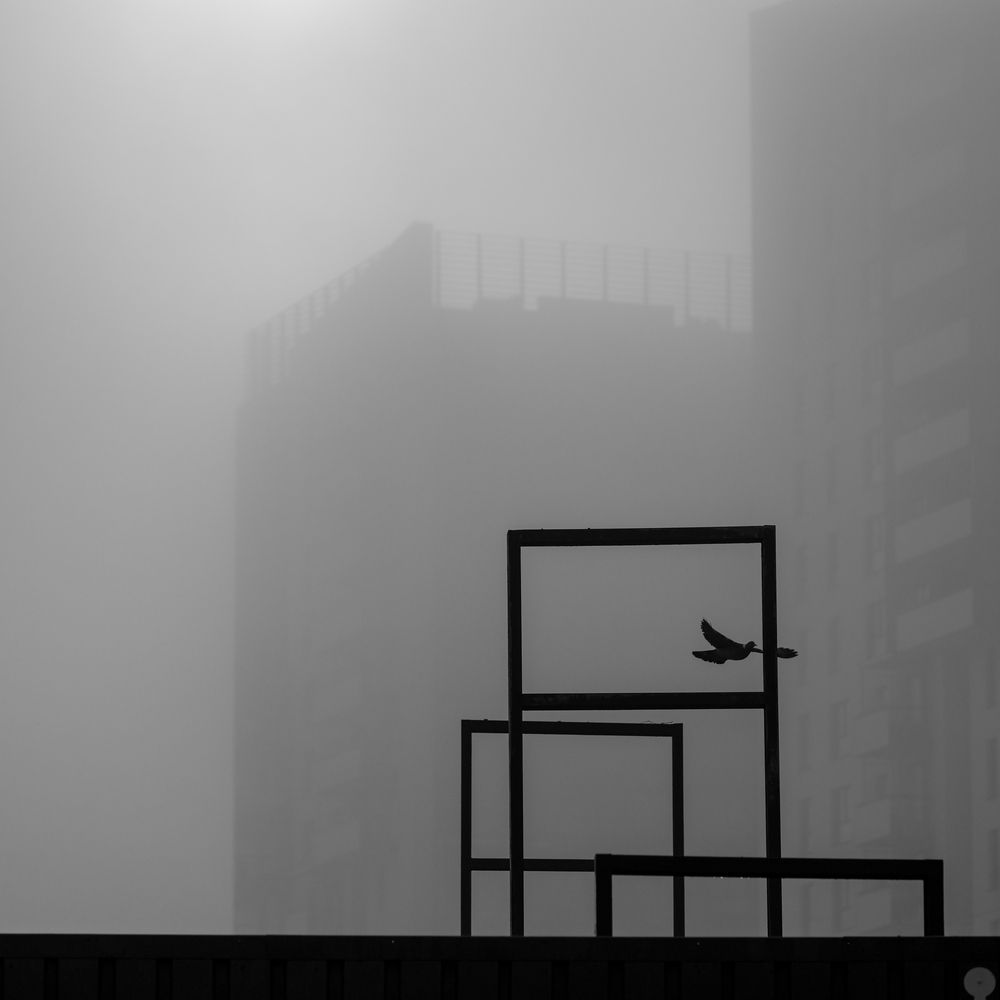 Photograph by Tomasz Dunajski