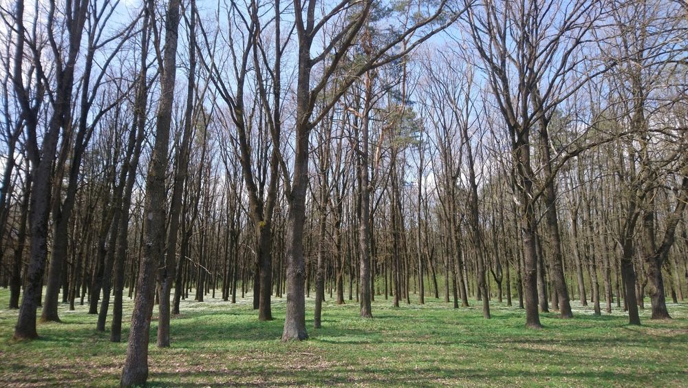 Photograph by Михаил