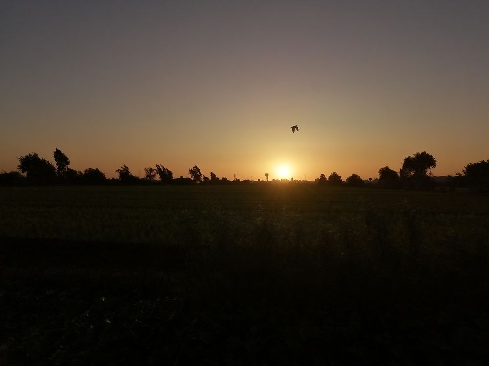 Photograph by Rehab Mohamed Ibrahim