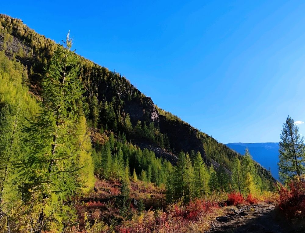 Photograph by Юлия Холомцева