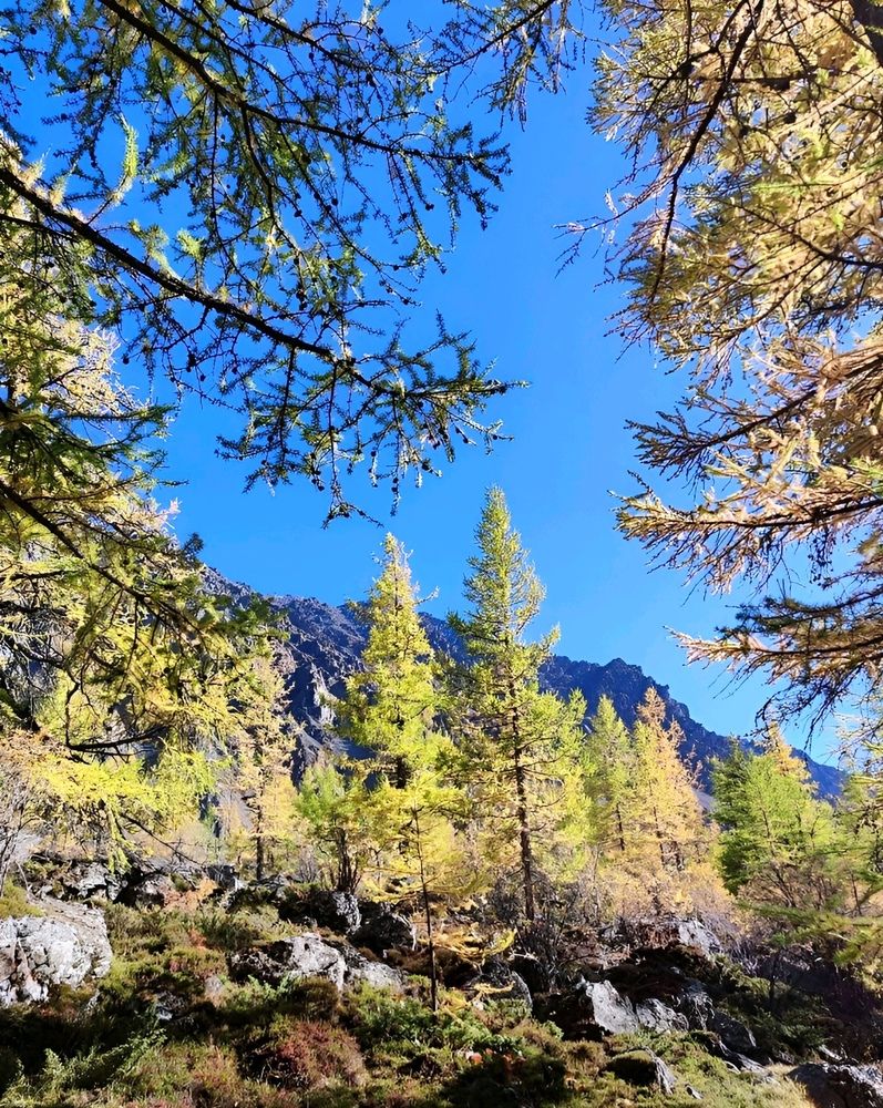 Photograph by Юлия Холомцева