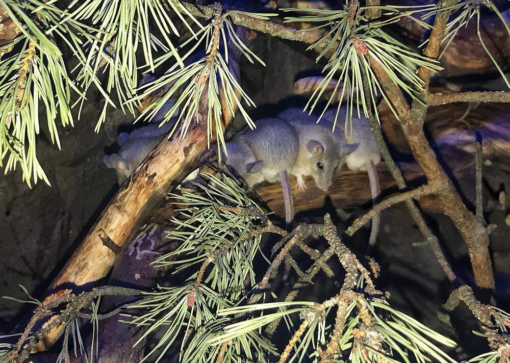 Photograph by Natalija Krucina