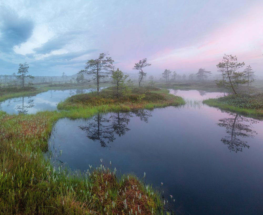 Photograph by Павел Ващенков
