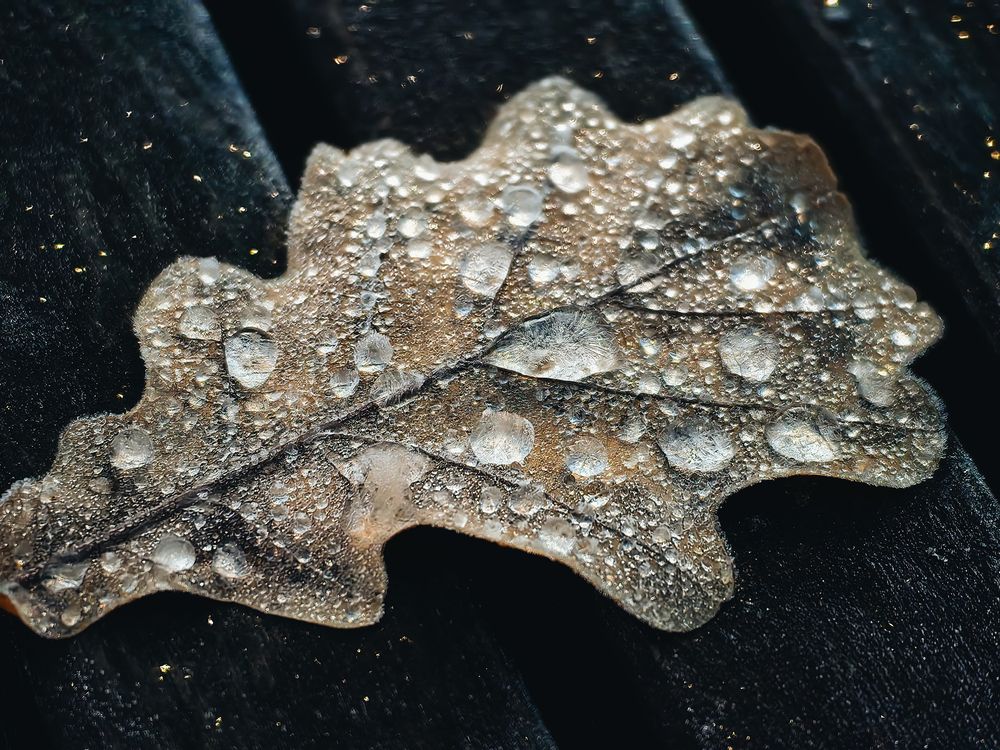 Photograph by Алексей Еремеев