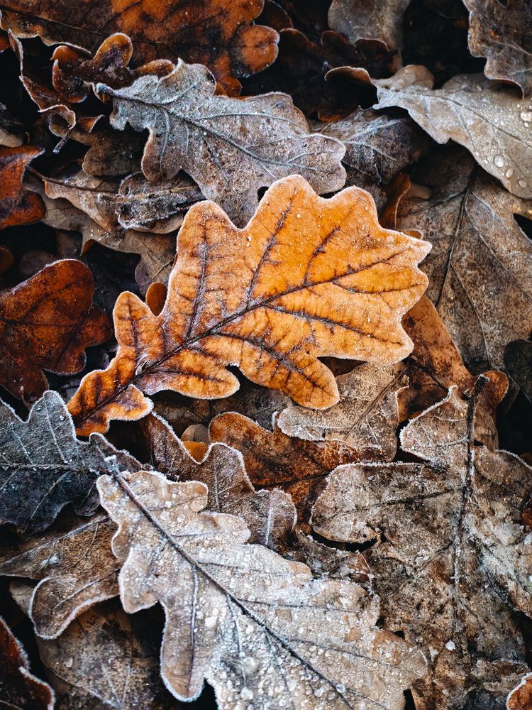 Подморозило