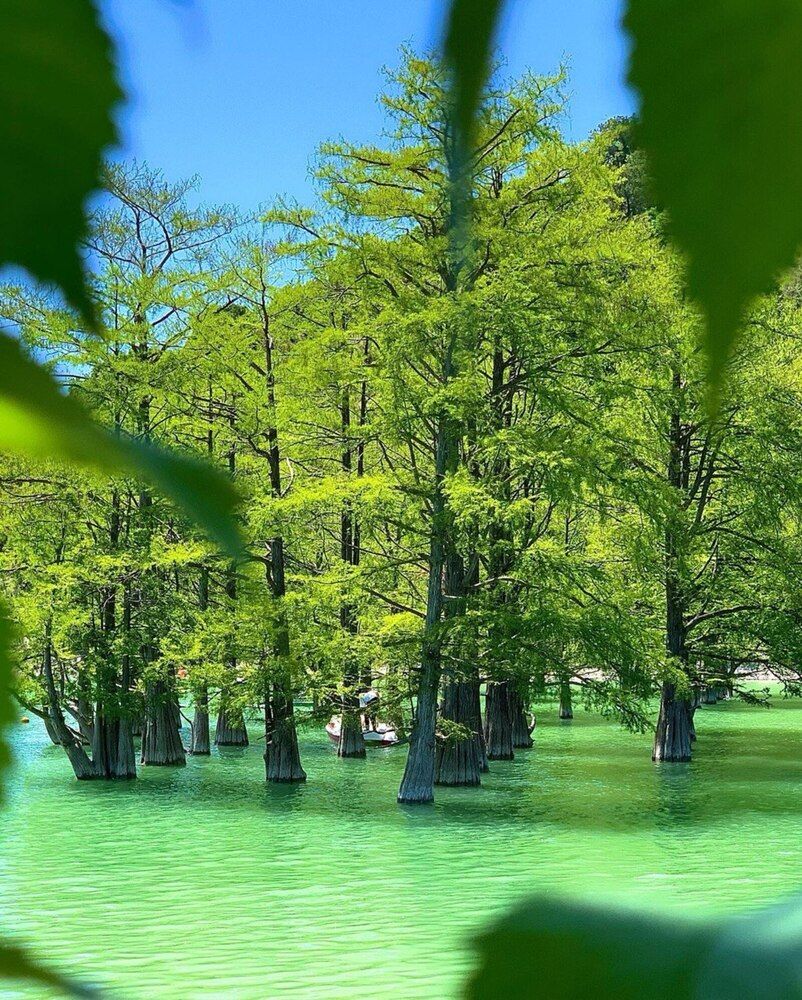 Photograph by Natalija Krucina