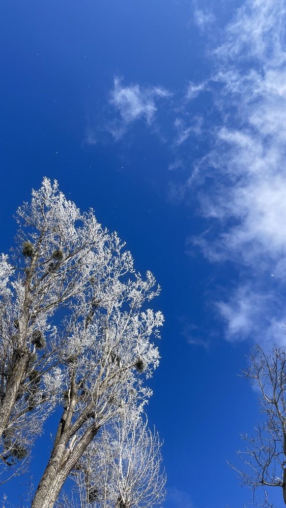 Photograph by Рузанна Гюрджян