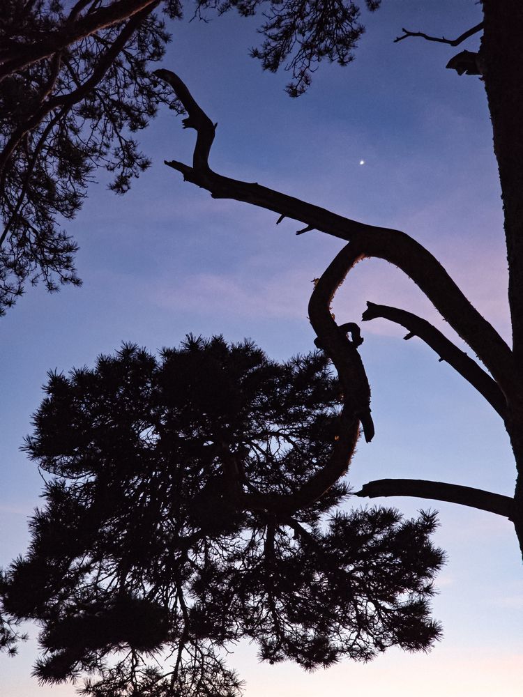 Photograph by Елена Ромашкина