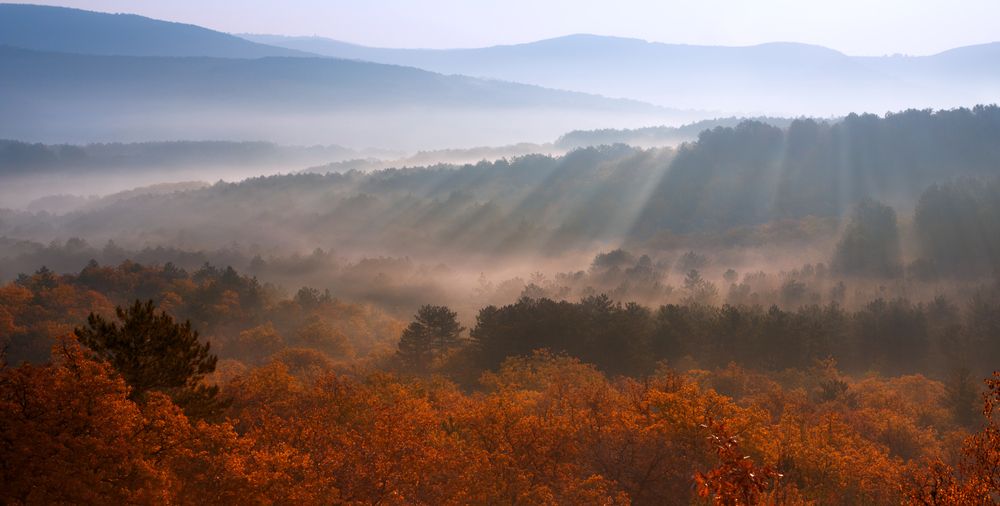 Photograph by Семенюк Василий