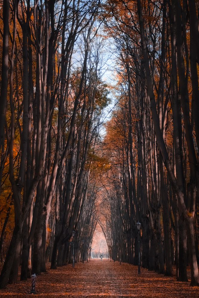 Photograph by Алексей Еремеев