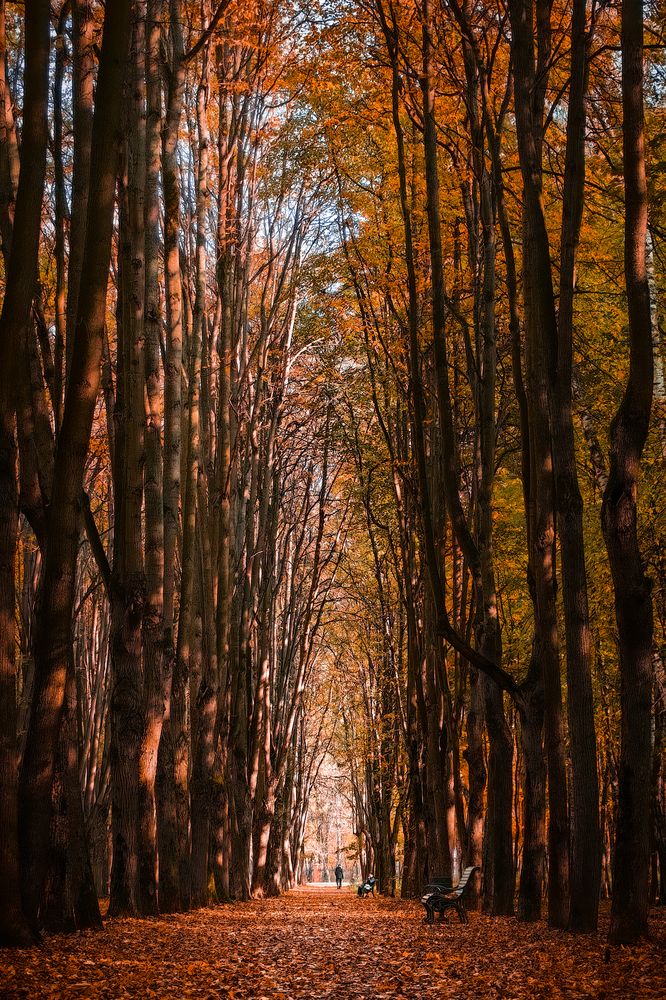 Photograph by Алексей Еремеев