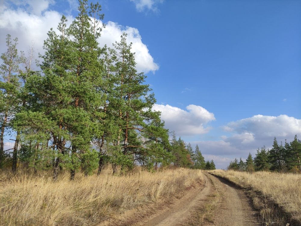 Photograph by Дина Горбачёва