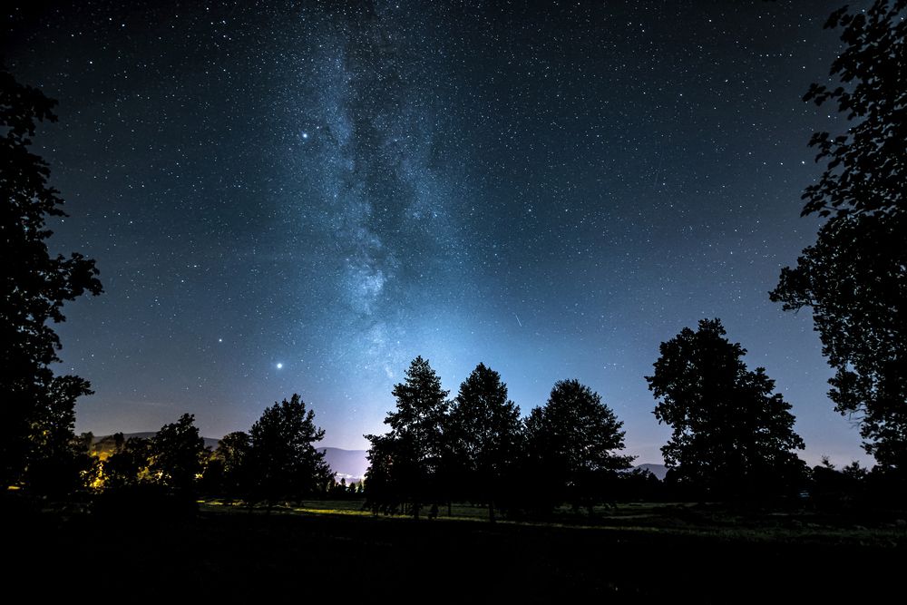 Photograph by Grzegorz Truchanowicz