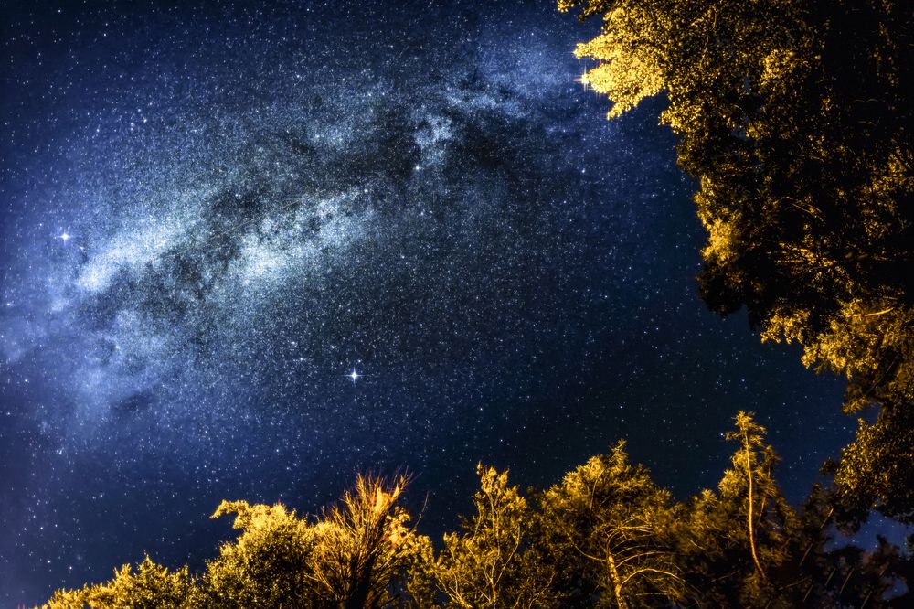 Photograph by Grzegorz Truchanowicz