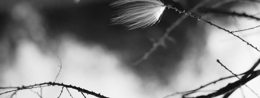 Фотография автора Максим Беднев